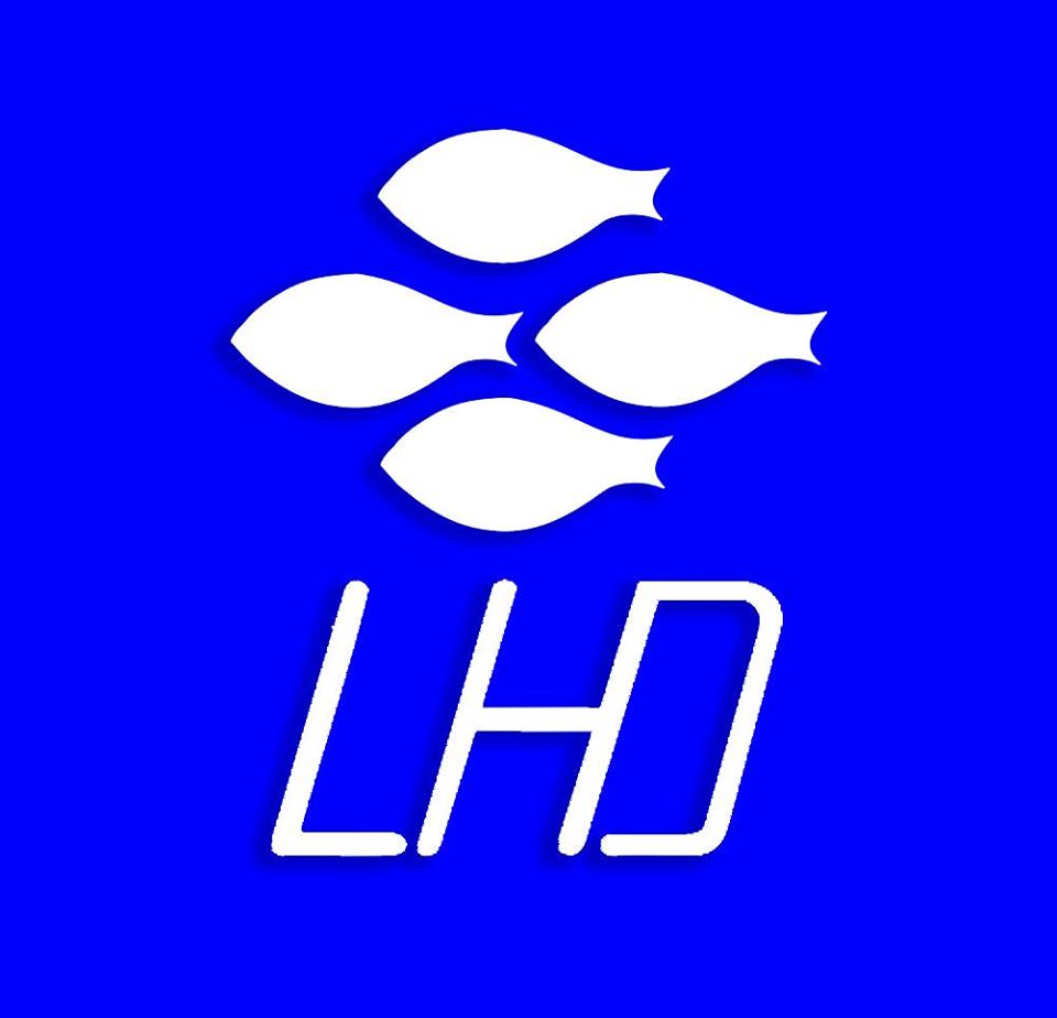 LHD Ltd Logo