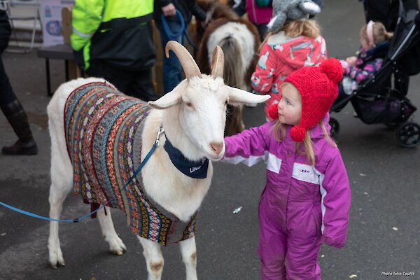 Crowds turn out for parade