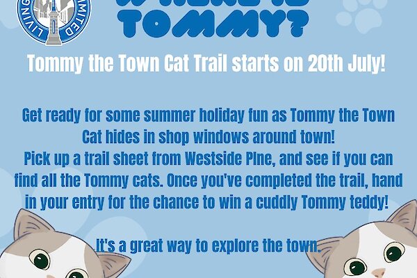 Window Trail Competitions